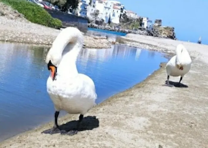 Vakantiehuis House Paraporti