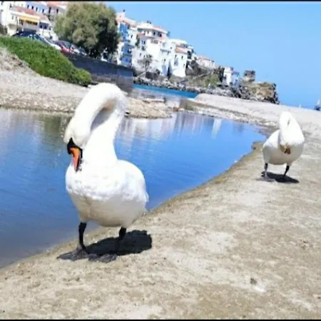 Holiday home House Paraporti
